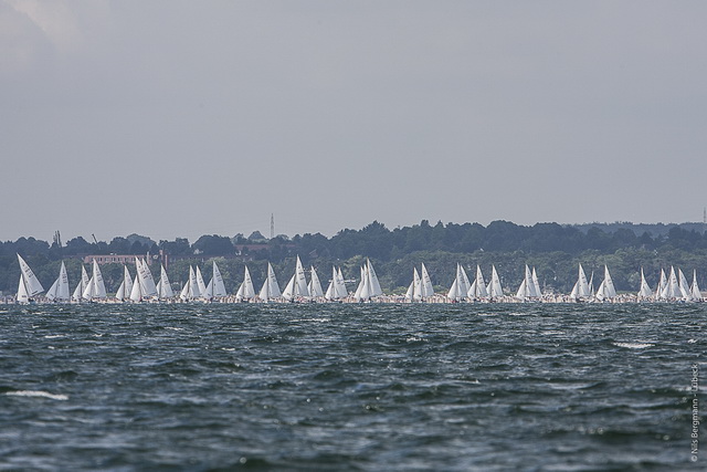 fg13 650  nils bergmannfolweb.jpg